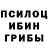 Псилоцибиновые грибы Psilocybine cubensis KissMe Please