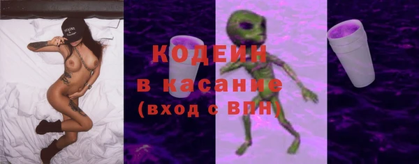 индика Алзамай