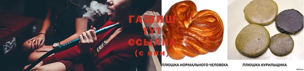 амф Алексин