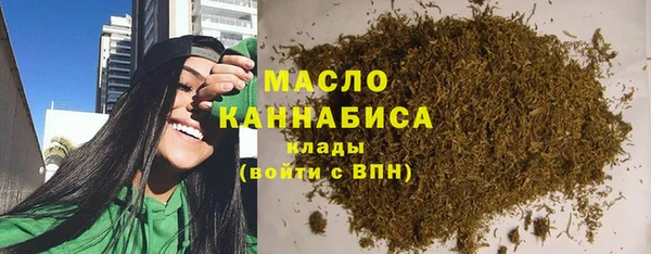 индика Саяногорск