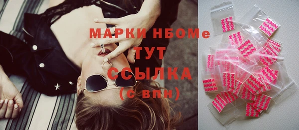 индика Алзамай