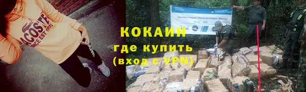 индика Алзамай