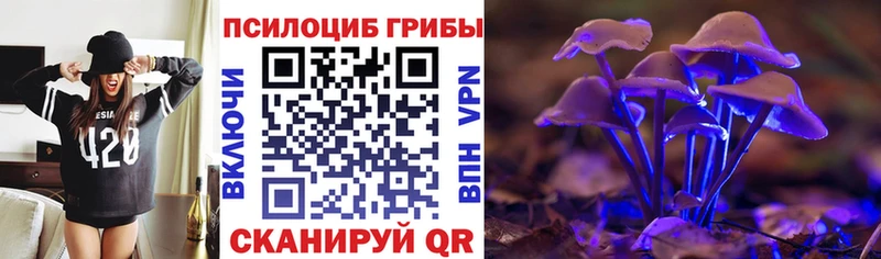 Галлюциногенные грибы прущие грибы  Рыбное 